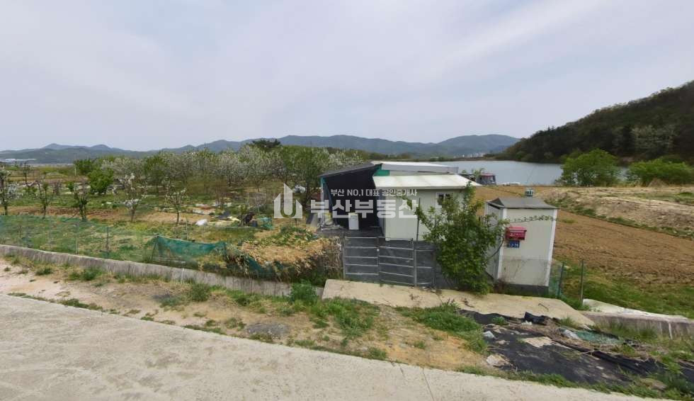 경북 경주시 건천읍 토지매매>경북 경주시 건천읍 과수원매매/체리과수원매매 매매 매물번호 10272 사진 1