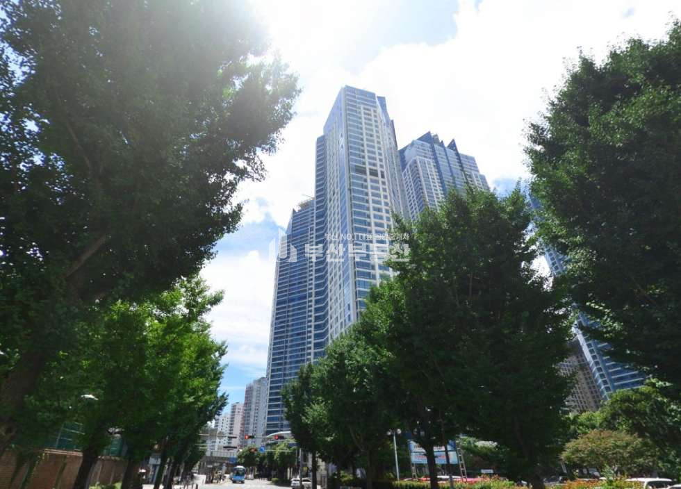 부산 부산진구 부전동 E동 아파트임대>부산진구 부전동 아파트임대/서면 더샾센트럴스타 전월세 아파트임대.공실 바로입주가능 월세 매물번호 10262 사진 4