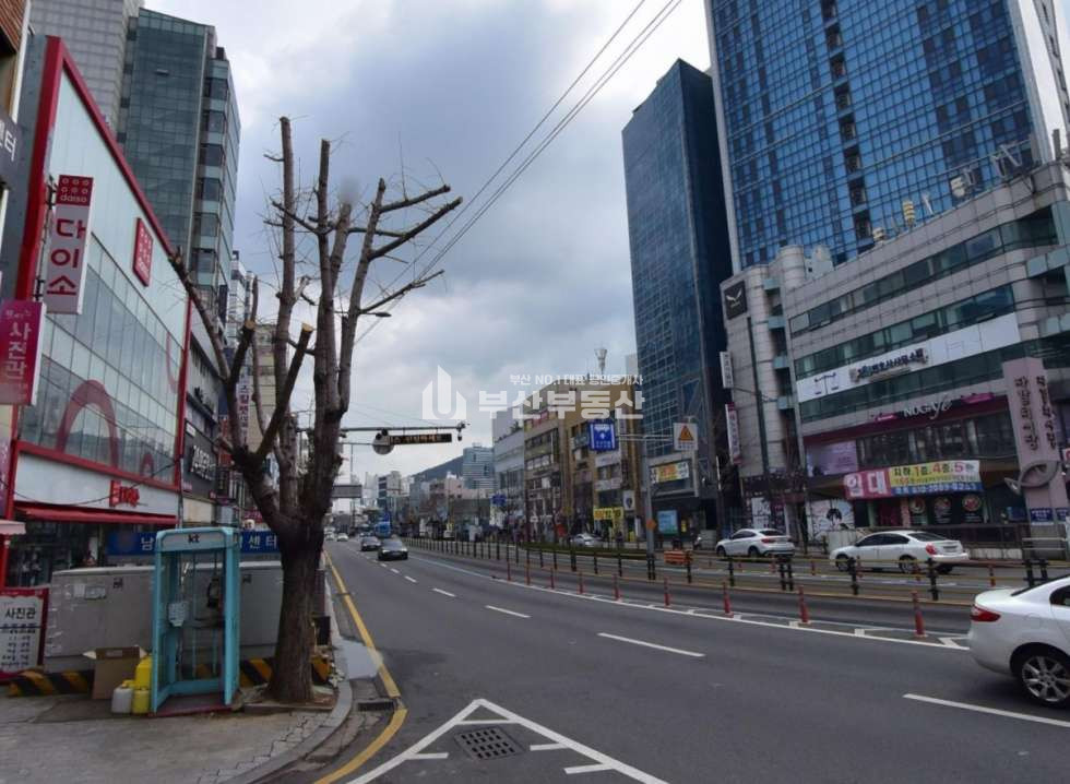 부산 중구 남포동4가 건물매매>부산 중구 남포동 상가건물매매 역세권 일반상업지역 건물매매 / 남포동 대로변 최고의 입지, 초역세권 상업용 건물 매매 매물번호 10212 사진 4