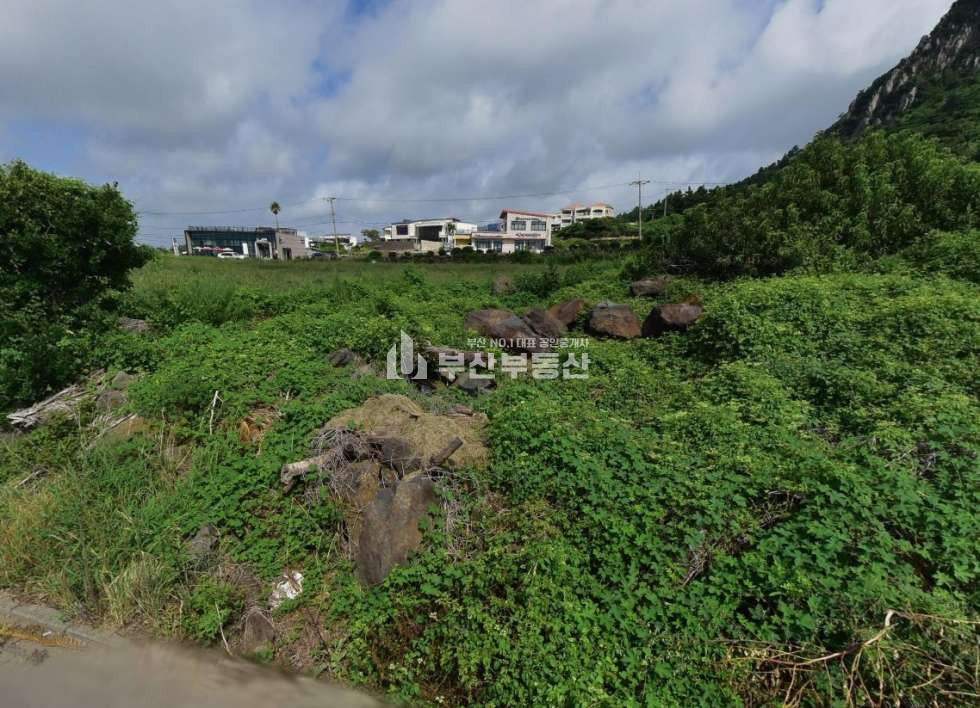 제주 서귀포시 안덕면 사계리 제주도 사계리 토지 매매>서귀포 안덕면 2000평 대형 부지! 호텔·카페·펜션 최적 투자 기회 매매 매물번호 10282 사진 1