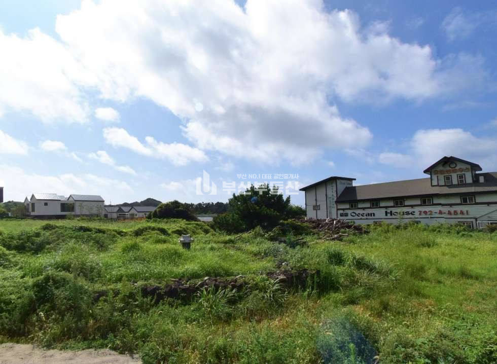 제주 서귀포시 안덕면 사계리 제주도 사계리 토지 매매>서귀포 안덕면 2000평 대형 부지! 호텔·카페·펜션 최적 투자 기회 매매 매물번호 10282 사진 4