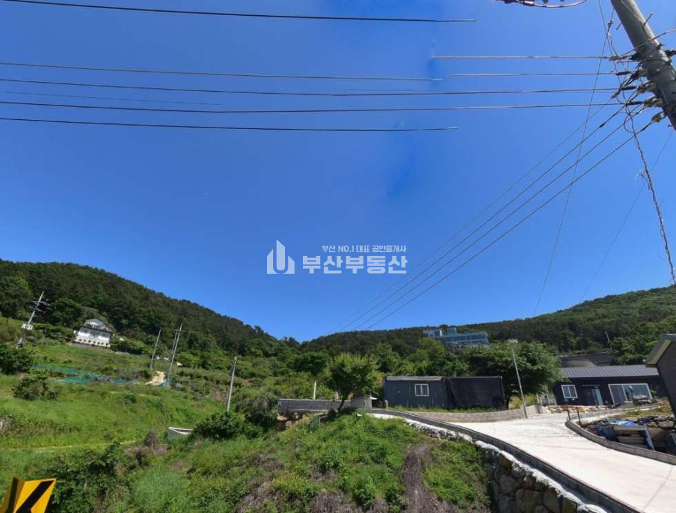 부산 강서구 천성동 강서구 천성동 토지매매> 개발·투자· 최적 입지 매매 매물번호 10267 사진 1