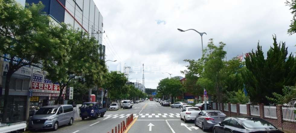 부산 강서구 송정동 강서구 송정동 녹산산단의 2000평 대지 매매 경제자유구역청옆 평당 800만 매매 매물번호 10102 사진 4