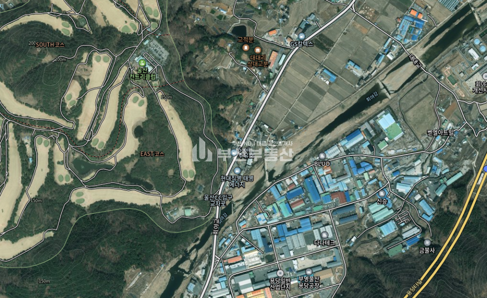 울산 울주군 웅촌면 대대리 울산국도 접, 네모반듯한 토지급매 매매 매물번호 10145 사진 1