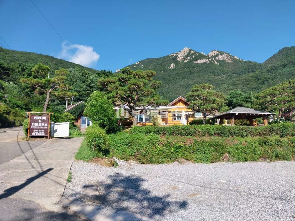 경남 양산시 소주동 양산시 소주동 계곡접한 멋진땅 매매 매물번호 10146 사진 2