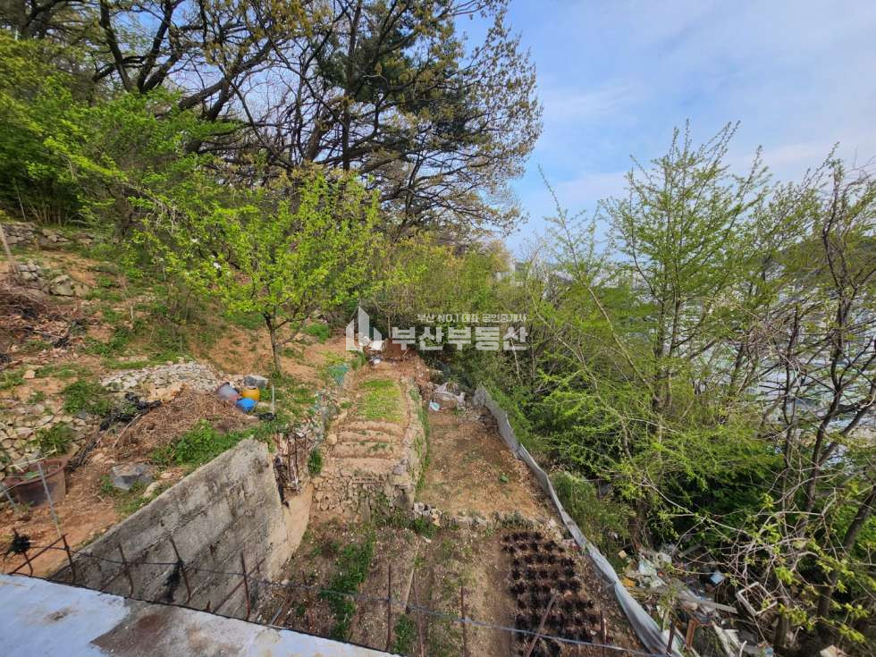 부산 사하구 괴정동 주택매매>사하구 괴정동 단독주택매매/괴정10구역 재개발지역 /올수리 단독주택 52p 공시지가 이하매매 매매 매물번호 10113 사진 2