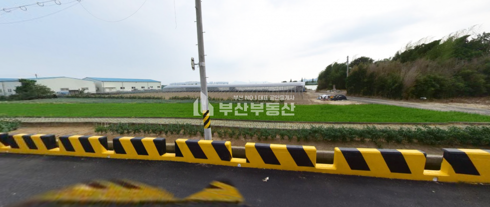 부산 강서구 대저2동 토지매매>부산시 강서구 대저동 토지매매/맥도 강변 토지매매.2200평 2200p 매매 매물번호 10065 사진 2