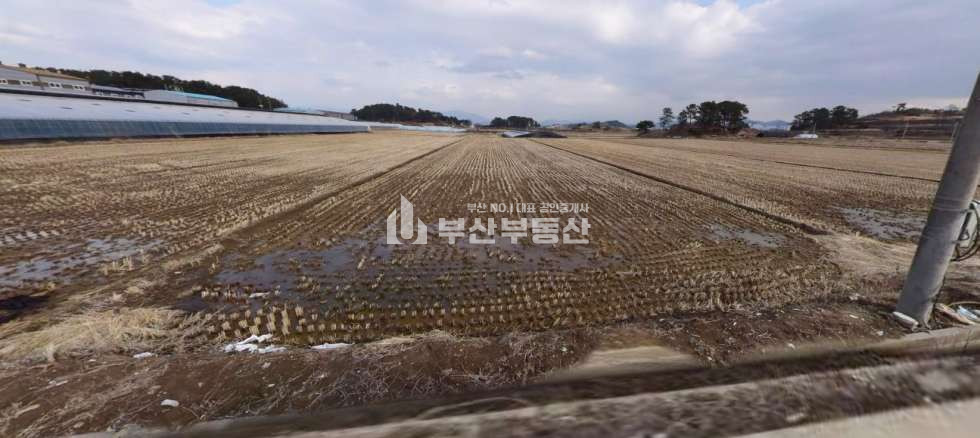 경남 창원의창구 대산면 토지매매>경상남도 창원시 의창구 대산면 제동리 토지매매/ 농지매매 953p 매매 매물번호 10099 사진 1
