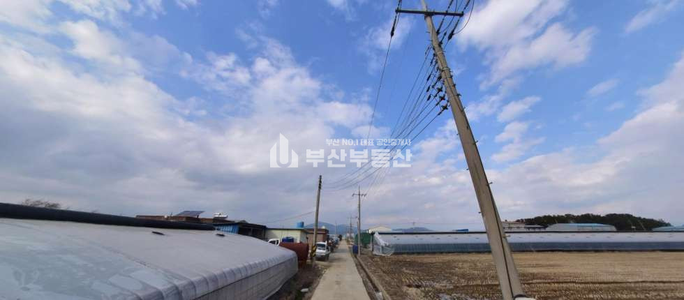 경남 창원의창구 대산면 토지매매>경상남도 창원시 의창구 대산면 제동리 토지매매/ 농지매매 953p 매매 매물번호 10099 사진 2