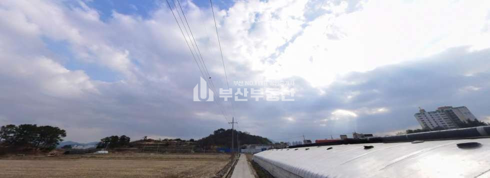 경남 창원의창구 대산면 토지매매>경상남도 창원시 의창구 대산면 제동리 토지매매/ 농지매매 953p 매매 매물번호 10099 사진 3